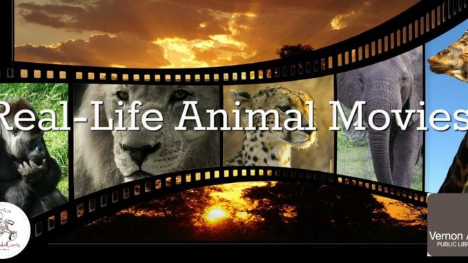 best real-life animal movies