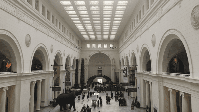 field museum chicago lobby