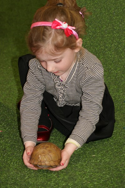 Animal Birthday Parties in Lake County, IL