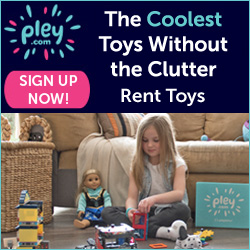 Pley - leading toy rental company