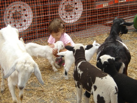 Animal Birthday Parties in Lake County, IL