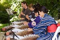 Malott Japanese Garden Spring Festival @ Chicago Botanic Garden | Glencoe | Illinois | United States