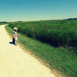 Exploring Nature Category