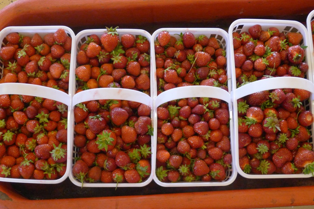 Strawberries