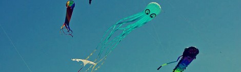 Kite Festivals in Lake County {2015}