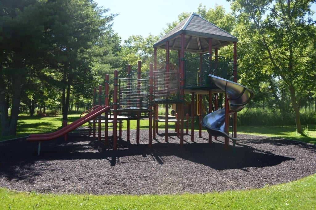 half day forest preserve playground