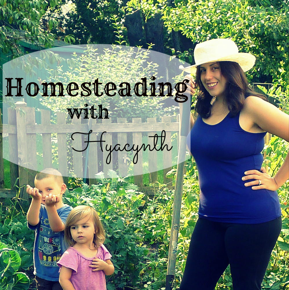Easily Implemented Sustainable Living Tips