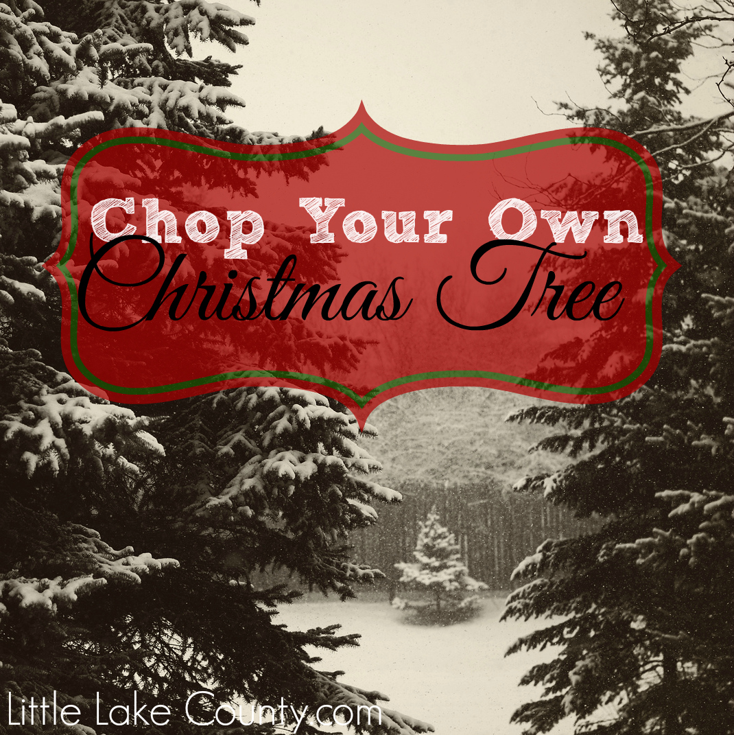 U-Chop Christmas Trees