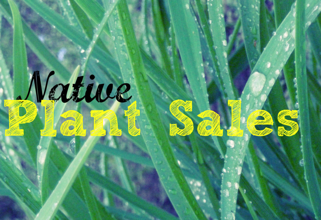 Native Plant Sales in Lake County