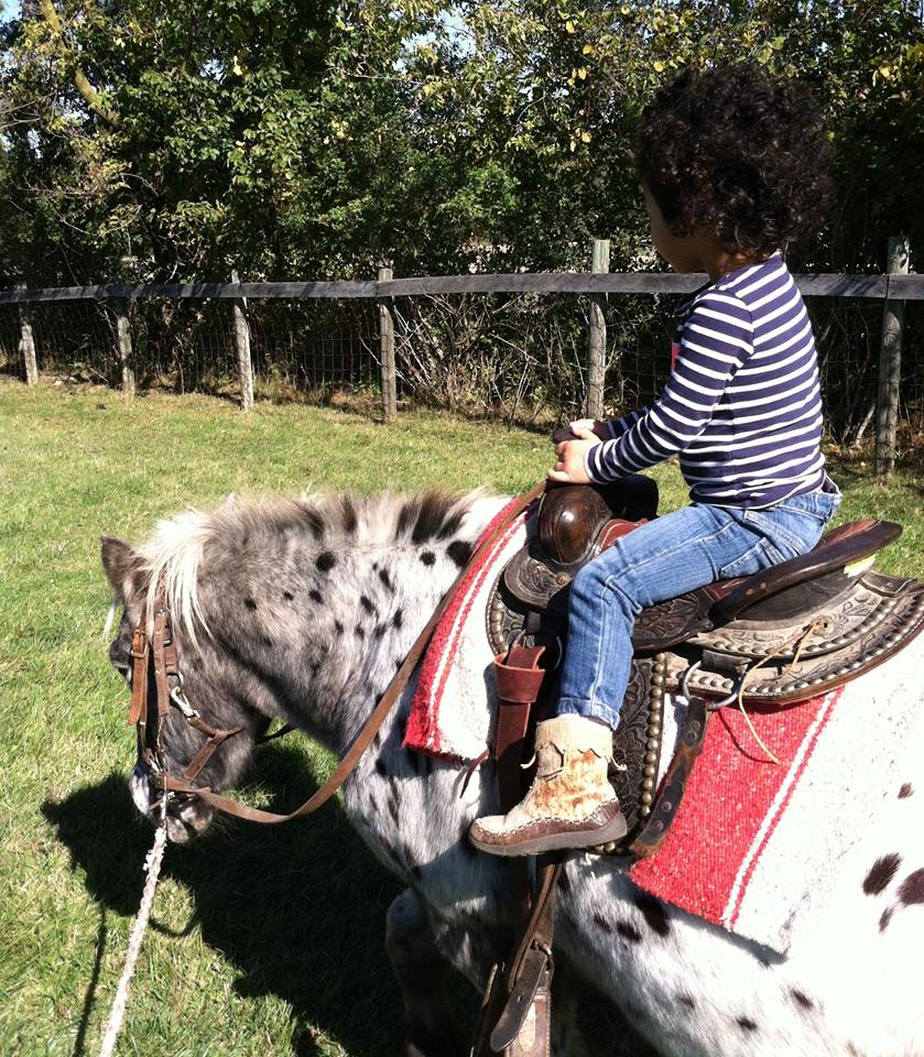 Toddler Friendly Farm Outings