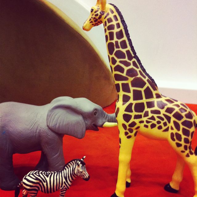 Photo by Kate Schott