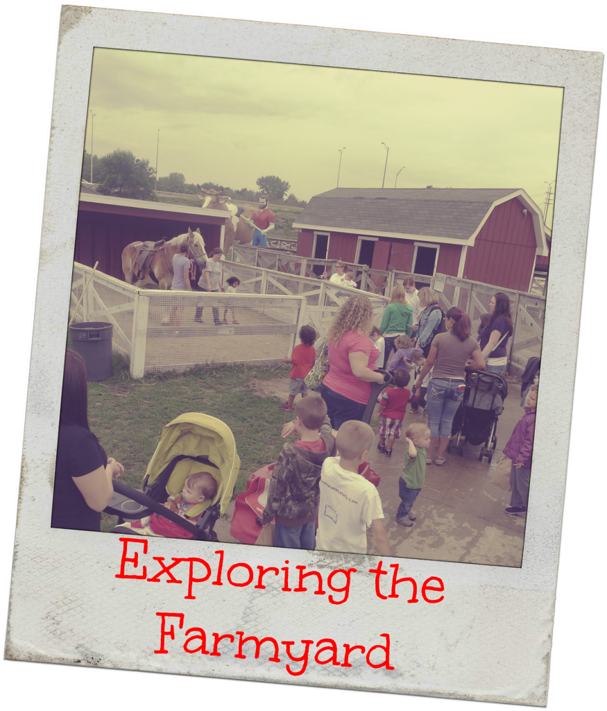 Lambs Farm Playdate