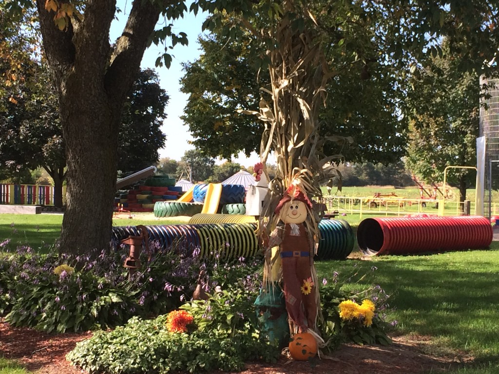 IMG_0955