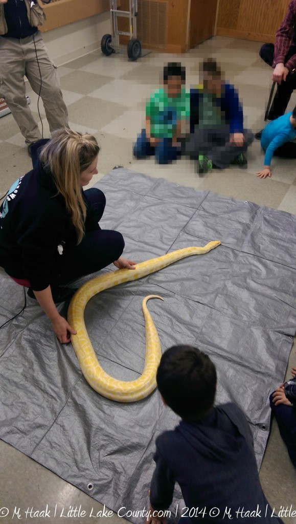 Python