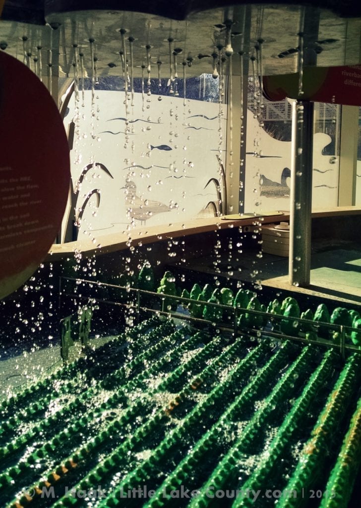 Water play at the Nature Museum