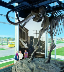 Mammoth at Kenosha Public Museum image property of Kenosha Public Museum