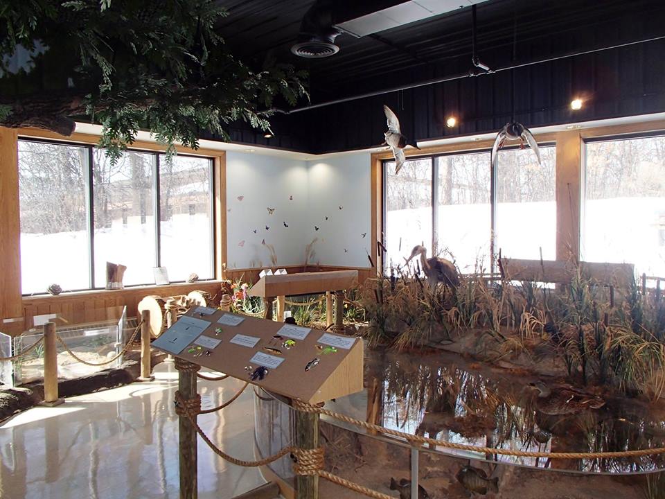 Prairie Grass Nature Museum in Round Lake image property of Prairie Grass Nature Museum