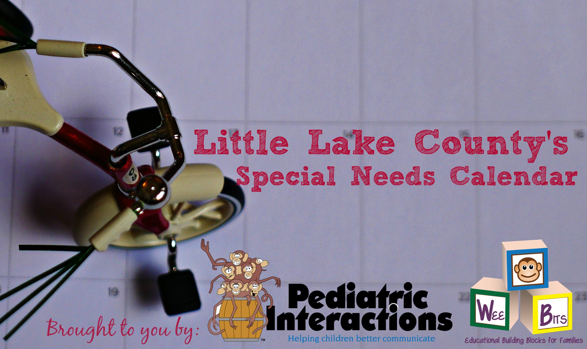 Special Needs Calendar Presented by Pediatric Interactions & Wee Bits| LittleLakeCounty.com