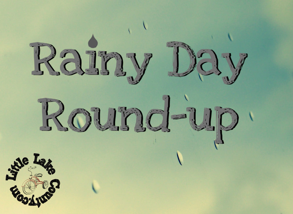 Rainy Day Activities in Lake County