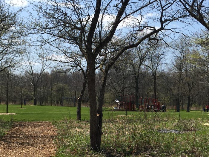 lake county forest preserves with playgrounds