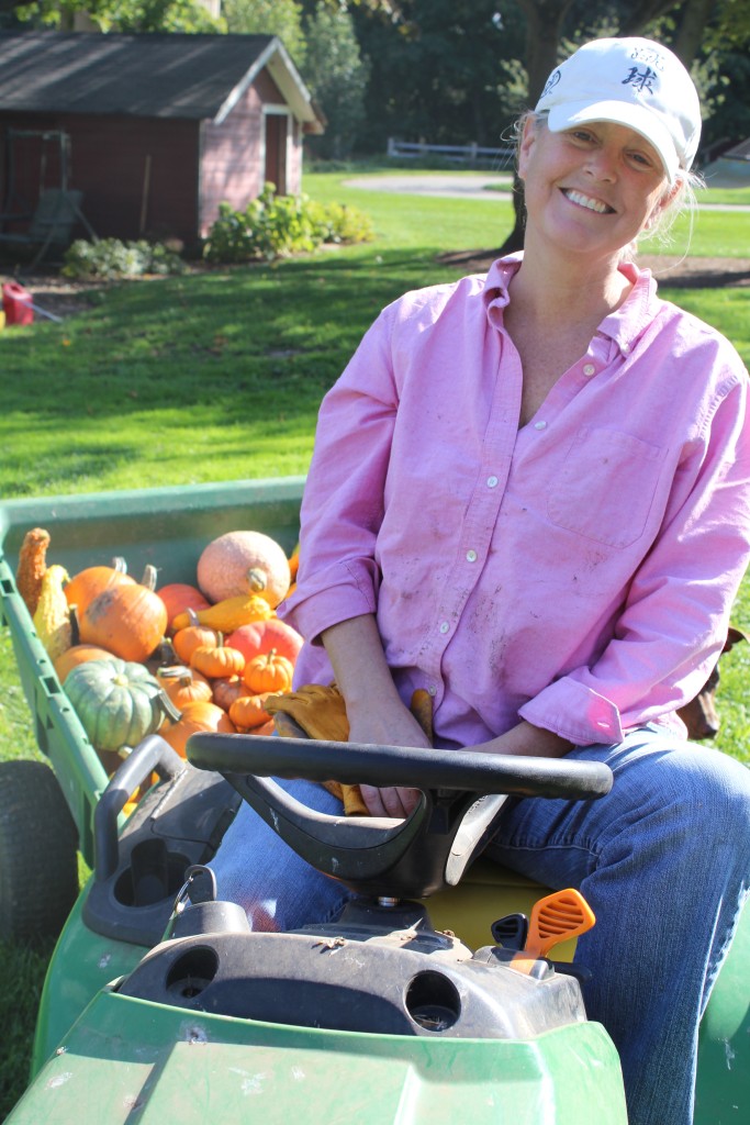 Lisa Moser Tumbledown Farms