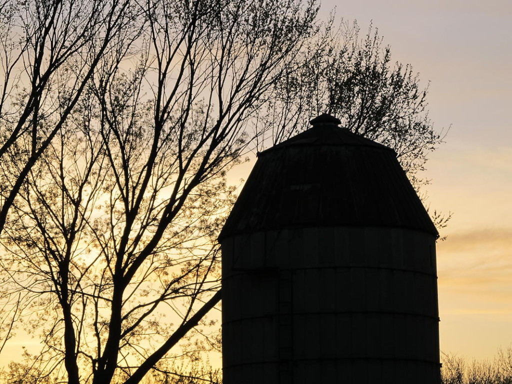 Tumbledown Farm
