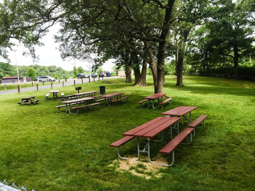 Hart Park Playground Profile | LittleLakeCounty.com