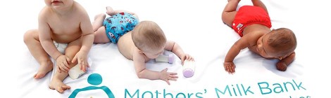 mothers milk bank of the western great lakes