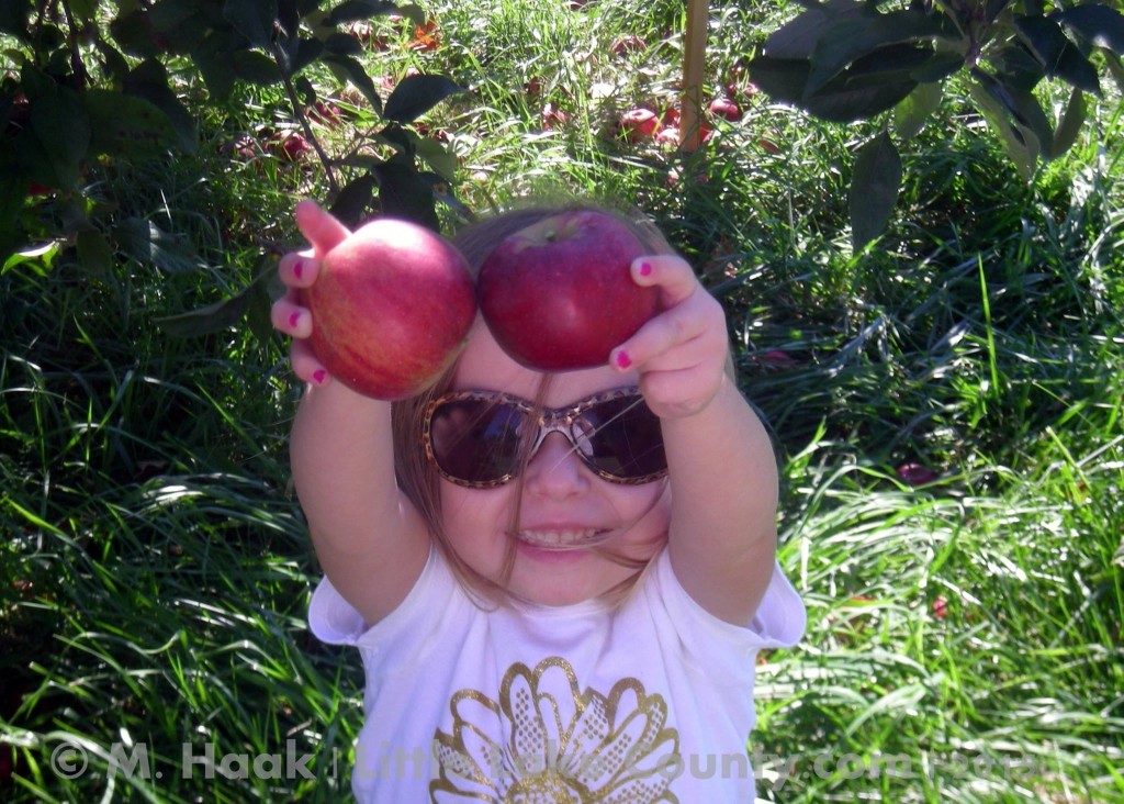 apple picking in lake county