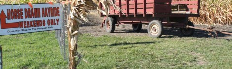 Hayride Round Up In Lake County {2015}
