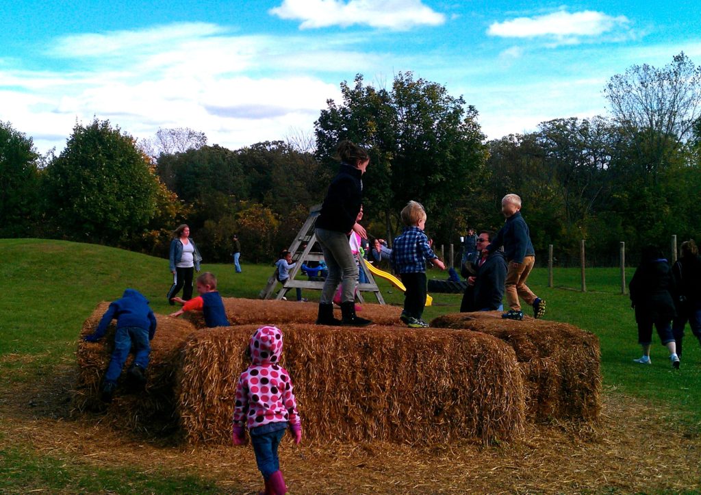 play area, Harvest Time Orchards