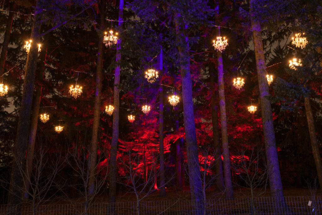 Morton Arboretum Illumination 2014