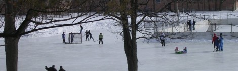 Outdoor Ice Skating in Lake County {2016}