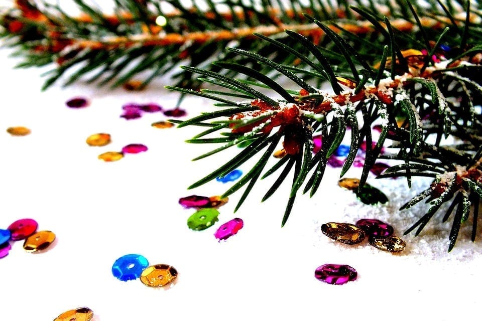 Christmas tree branch
