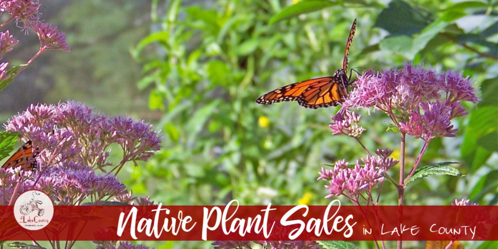 native plant sales in lake county