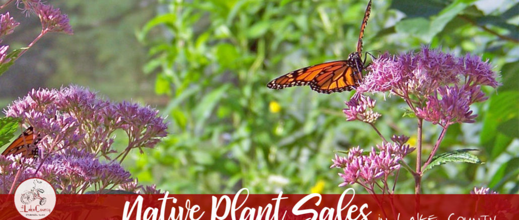 native plant sales in lake county