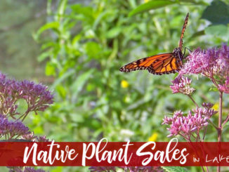 native plant sales in lake county