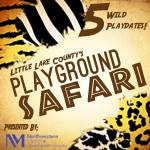 little lake county playground tour