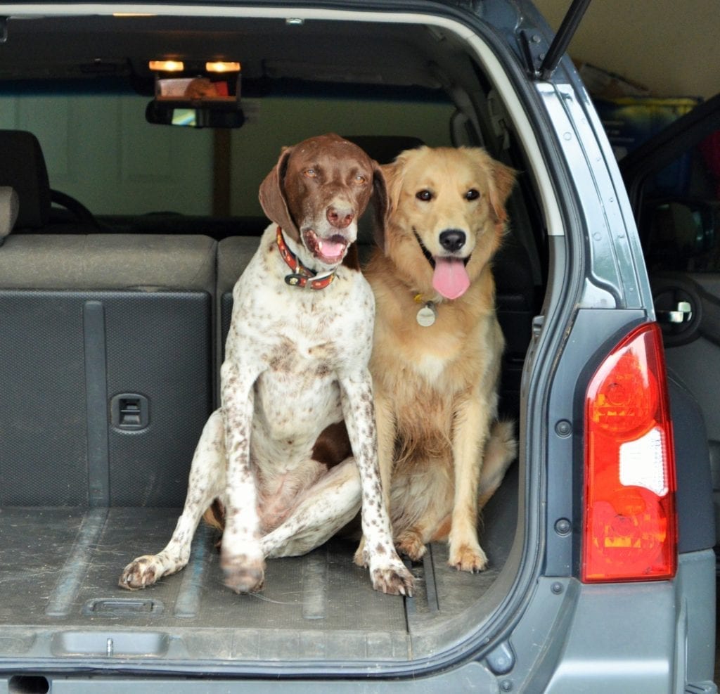 Dr. Jami-Lyn Derse, Veterinary Housecall Care, LLC