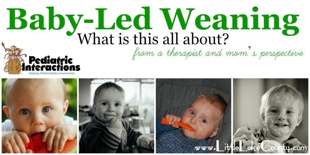 baby-led weaning