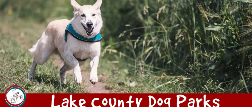 lake county dog parks