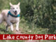 lake county dog parks