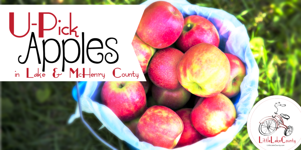 u-pick apples lake cunty