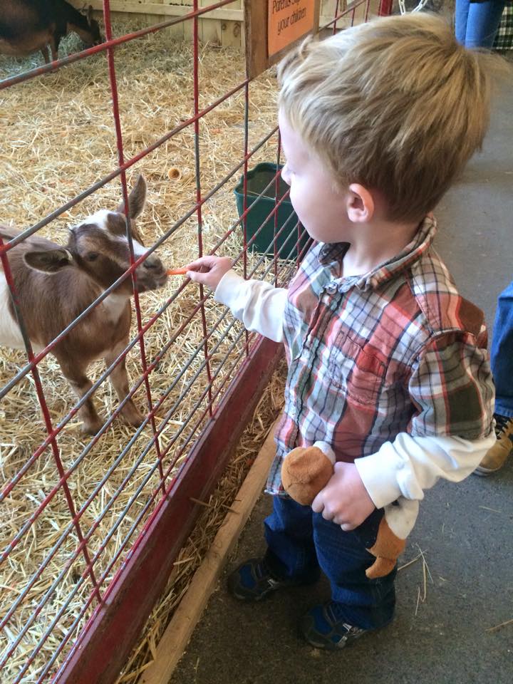 Goebbert's Farm & Garden Center, South Barrington