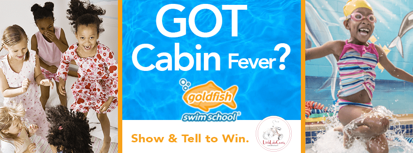 Goldfish Cabin Fever Contest