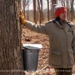 Lake County Forest Preserve District – Maple Syrup Hikes