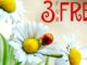 free summer fun