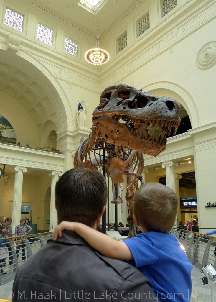 chicago museum free days
