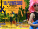 playground tour vernon hills