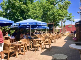 Outdoor Dining with Toddlers